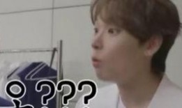 偶像爆料视频大全集,揭秘明星幕后真相